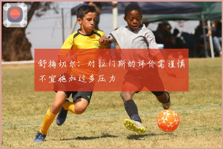 舒梅切尔：对拉门斯的评价需谨慎不宜施加过多压力