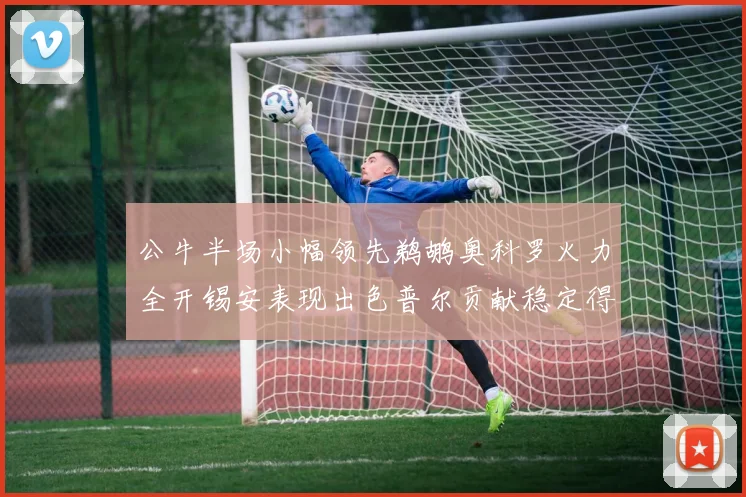 公牛半场小幅领先鹈鹕奥科罗火力全开锡安表现出色普尔贡献稳定得分