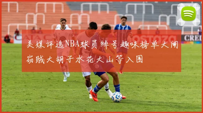 美媒评选NBA球员绰号趣味榜单大闸窃贼大胡子水花大山等入围