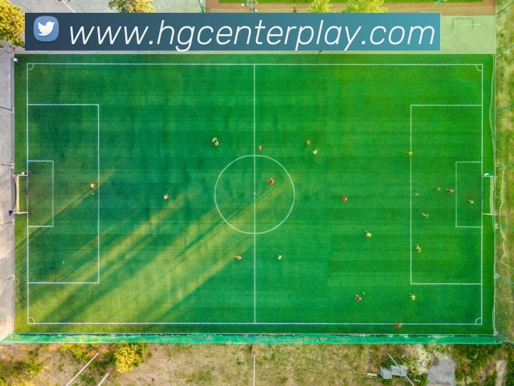 皇冠体育平台生态图